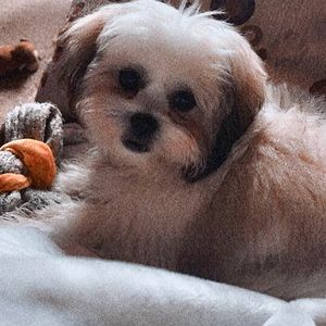 Meet your Posher, Jorie